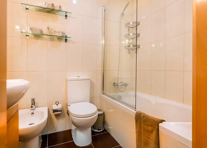 Apartment Camoes Executive Flat *